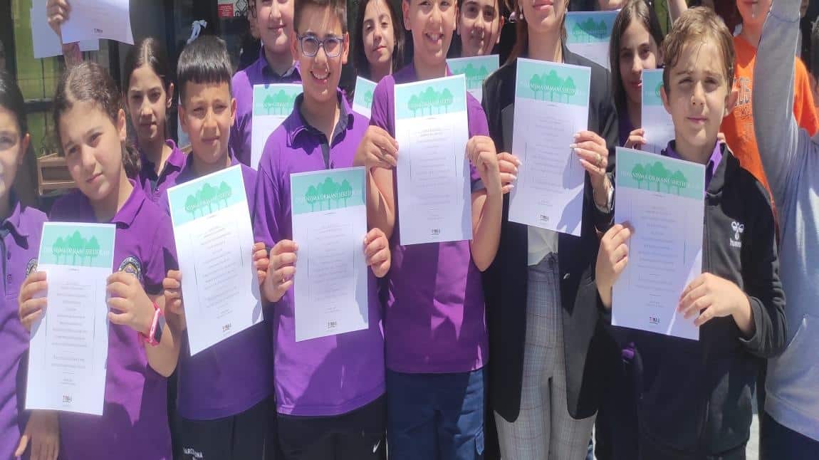 Tema Vakfına Ağaç Bağışımız